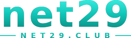 net29 logo